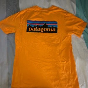 Patagonia Tee